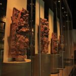 Anthropology Museum Early Access Tour - The Practicalities and Logistics