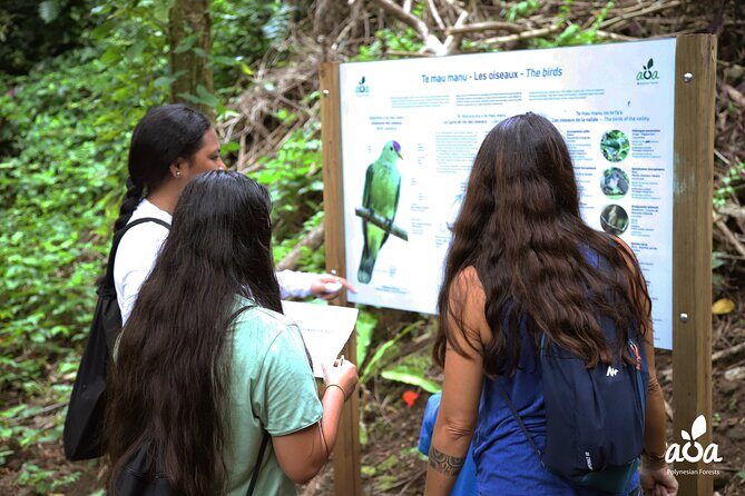 AOA Polynesian Forests - Educational Forest and Tahitian Trail Game DE - The Value Proposition
