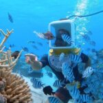 Aqua Safari Introductory Helmet Dive (Underwater Walk) - Who Should Book This Tour?