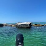Aqua Sol Adventures-4.5 hour Private Snorkeling,Dolphin,shelling - FAQ