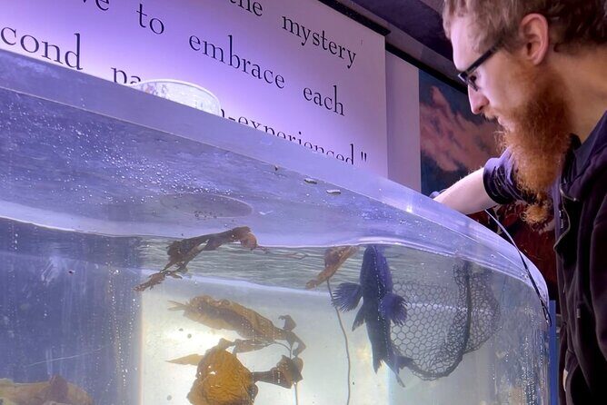 Aquarium Behind the Scenes at Sitka - Who Should Consider This Tour?