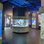 Aquarium of the Bay General Admission Ticket - The Sum Up