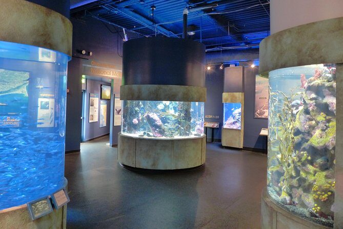 Aquarium of the Bay General Admission Ticket - The Sum Up