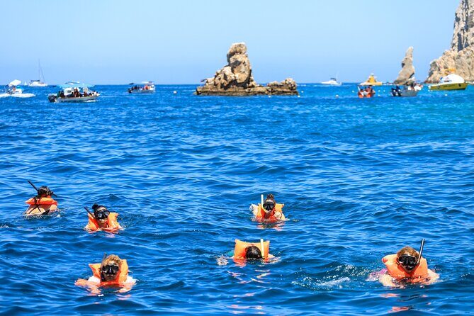 Arch Tour with Snorkeling and Food I Snorkel Fun - Snorkeling at Chileno Bay: Marine Life Close Up