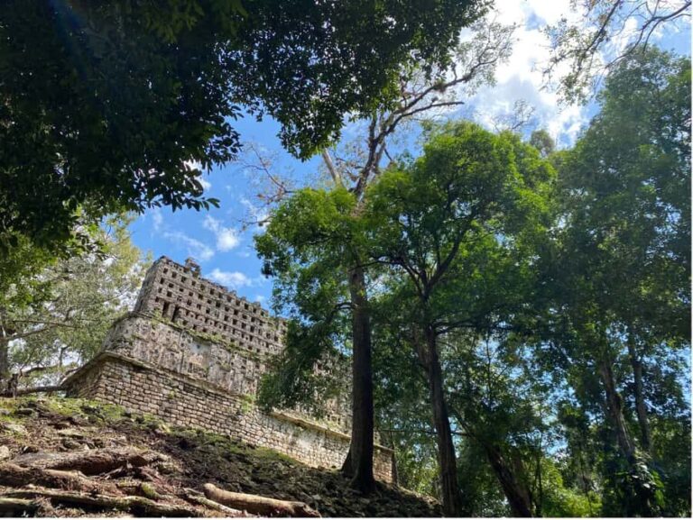 Archaeological Zones Yaxchilan & Bonampak - Cost and Value