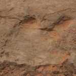 Arches National Park 4x4 Adventure from Moab - Practical Details and What to Expect