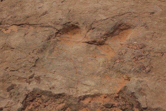 Arches National Park 4x4 Adventure from Moab - Practical Details and What to Expect