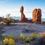 Arches National Park Morning Tour - What to Expect During the Tour