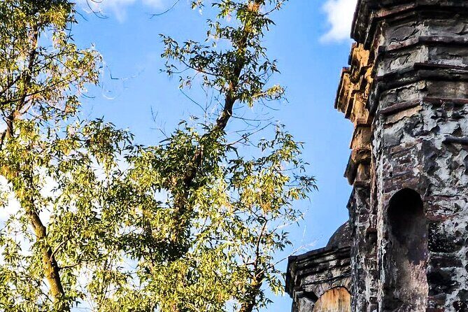 ARCHITECTURAL TOUR in Coyoacán - small groups - What Travelers Are Saying (Based on Available Reviews)