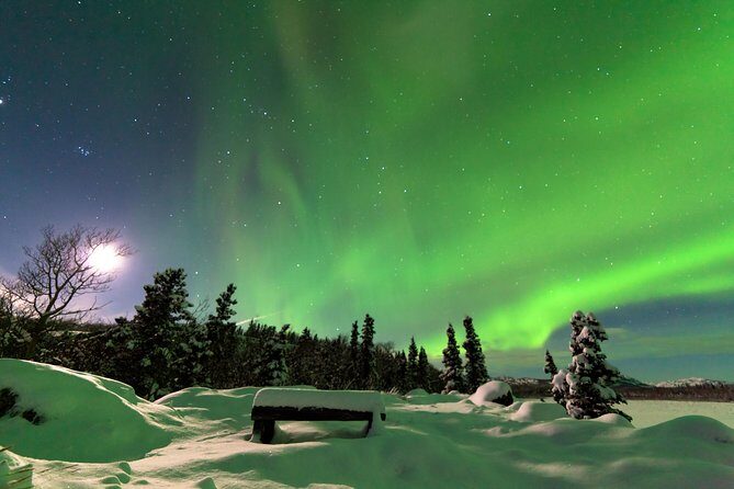 Arctic Circle and Northern Lights Tour from Fairbanks - Worth the Price?