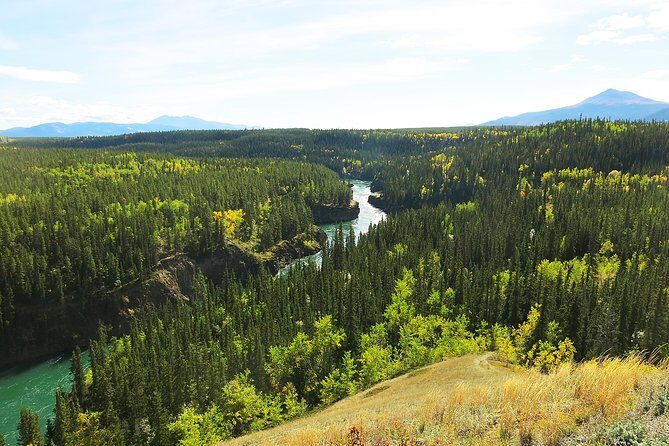 Arctic Day: Hiking Tour | half day - Who Should Consider This Tour?