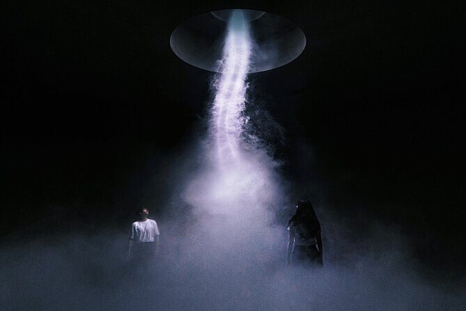 ARTE MUSEUM Immersive Media Art Exhibition in NYC - Is It Worth the Price?