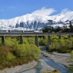 Arthur's Pass and TranzAlpine Train Day Tour from Christchurch - How the Experience Stands Out