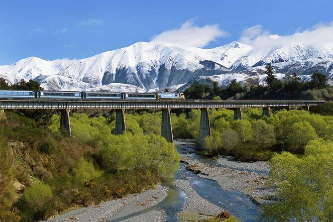 Arthur's Pass and TranzAlpine Train Day Tour from Christchurch - How the Experience Stands Out