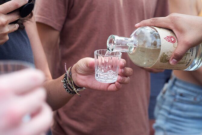 Artisanal Mezcal Culture Tour for Tasting and History - What the Reviews Say