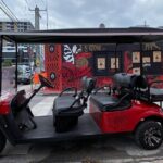 Artist Lead VIP Golf Cart Graffiti Tour - 2-5 ppl - What to Expect From the Tour Experience