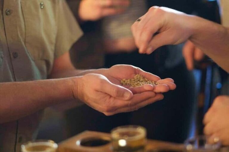 Asheville: 3 Brewery Walking Tour with Tastings - What the Reviews Say