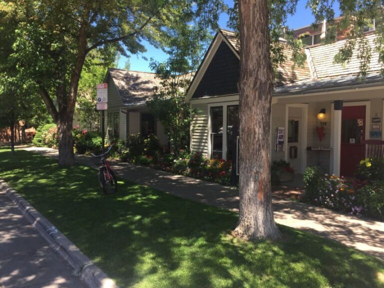 Aspen: From Past to Present History Walking Tour - The Practical Side – Logistics and Value