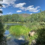 Aspen: Guided Light Hike with Roaring Fork River Views - What to Expect During the Tour