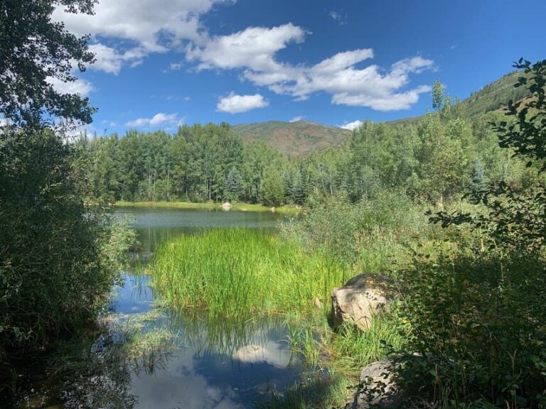 Aspen: Guided Light Hike with Roaring Fork River Views - What to Expect During the Tour
