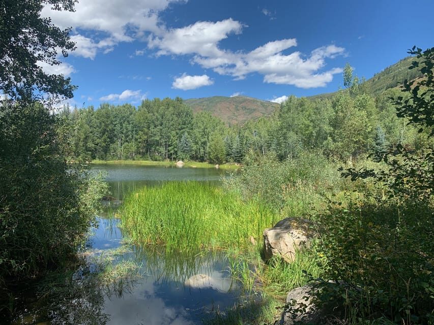 Aspen: Guided Light Hike with Roaring Fork River Views - What to Expect During the Tour
