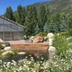 Aspen's Off the Beaten Path Scenic Walking Tour - Highlights of the Tour