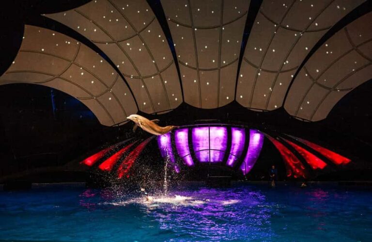 Atlanta: Georgia Aquarium Skip-the-Box-Office Entry Ticket - The Cost and Value