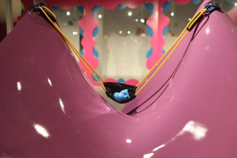 Atlanta: Sloomoo Institute Admission Ticket - The Experience Breakdown