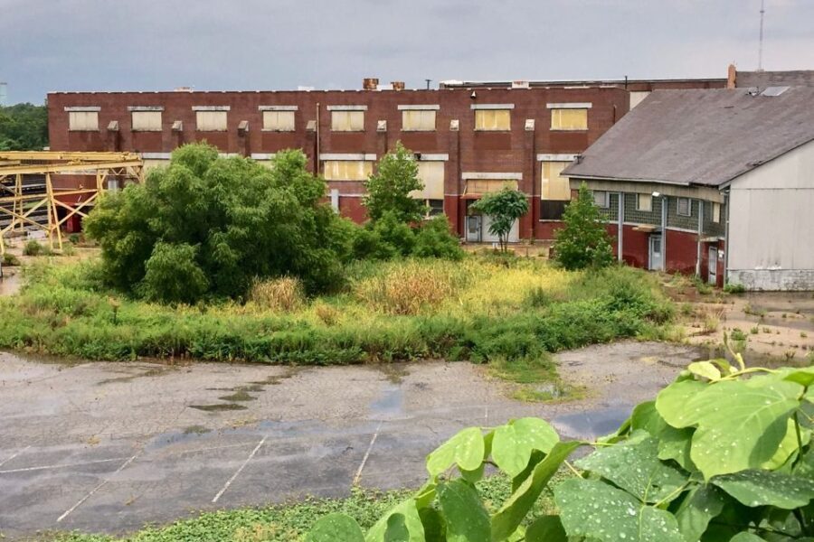 Atlanta: 'The Walking Dead' VIP Private Tour - Who Should Consider This Tour?