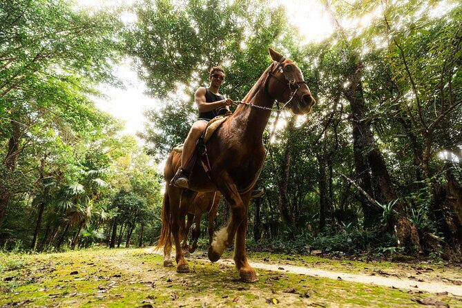 ATV Adventure and Horseback Ride with Ziplines, Cenote from Tulum - The Big Picture: Who Will Enjoy This Tour?