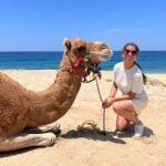 ATV and Camel Ride Combo Tour in Los Cabos - Detailed Look at the Itinerary
