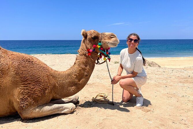 ATV and Camel Ride Combo Tour in Los Cabos - Detailed Look at the Itinerary