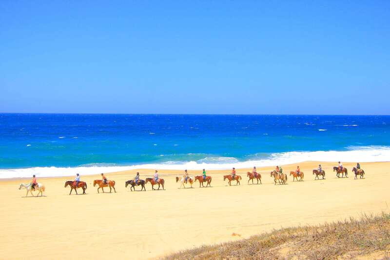 ATV Automatic 4X4 & Horseback riding in Cabo by Cactus Tours - Deep Dive into the Itinerary