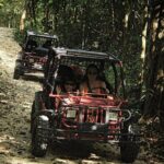 Atv drive and cenote tour!! - What the Tour Offers