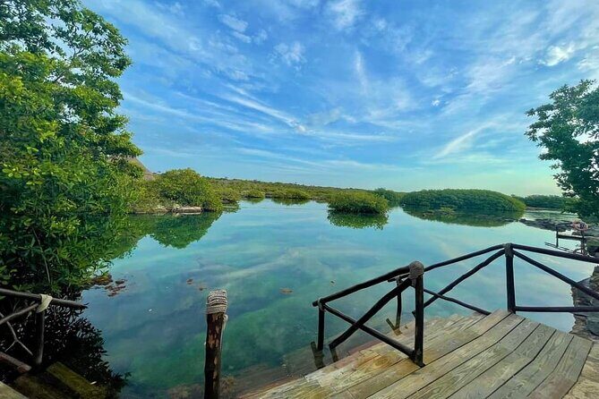 Atv Extreme Snorkel from Cancun - Group Size and Flexibility