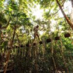 ATV, Zipline and Cenote at Extreme Adventuring with Tulum Pickup - The Experience: Pros and Cons