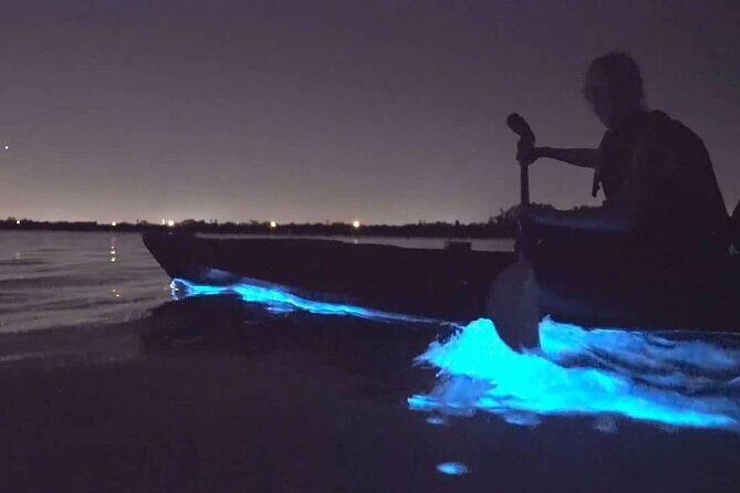 Auckland Bioluminescence Kayak Tour - The Value of This Tour