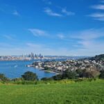 Auckland City Highlights Full Day Tour - Highlights and Potential Drawbacks