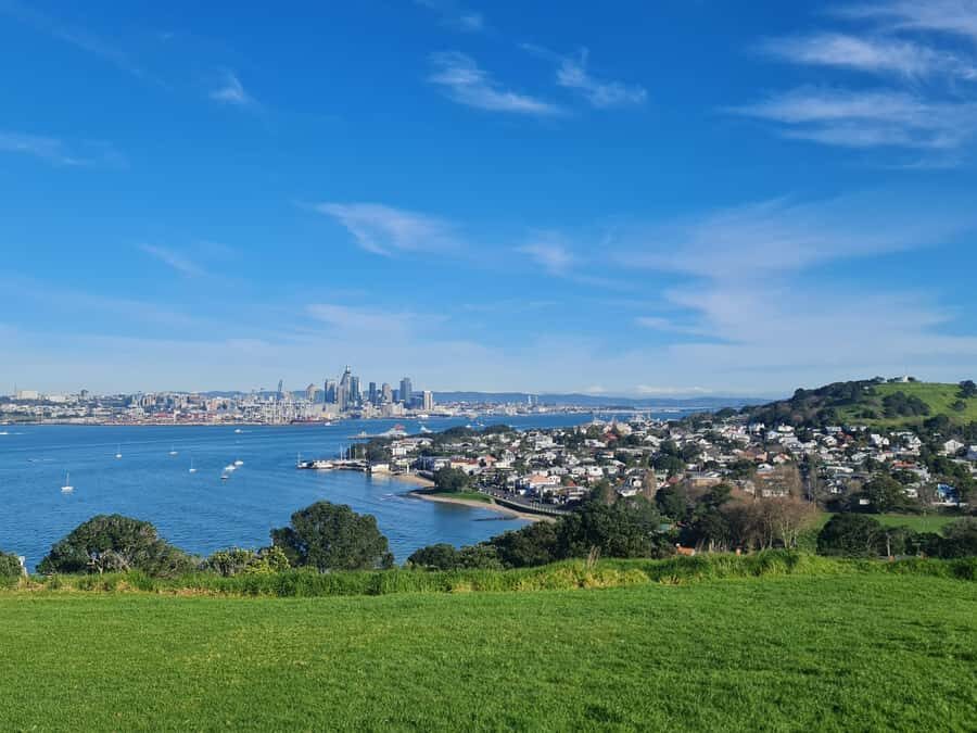 Auckland City Highlights Full Day Tour - Highlights and Potential Drawbacks