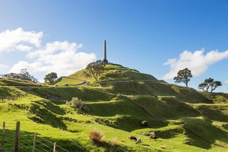 Auckland: City Highlights Private Tour - What Makes This Tour Stand Out