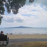 Auckland City Highlights Tour - What to Expect at Each Stop