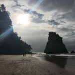 Auckland: Coromandel Day Tour including Hot Water Beach - Practical Details & What You Should Know