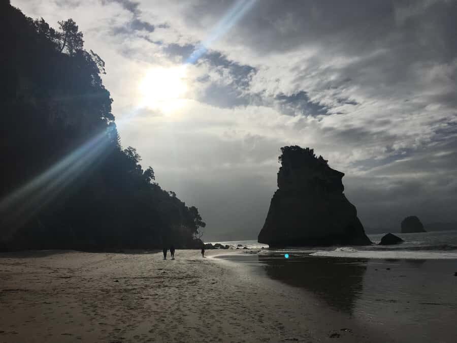 Auckland: Coromandel Day Tour including Hot Water Beach - Practical Details & What You Should Know