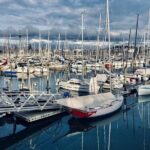 Auckland Half Day City Tour - Heart of Auckland - What to Expect from the Auckland Half Day City Tour