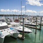 Auckland Museum and Highlight Sightseeing Tour - What the Tour Feels Like