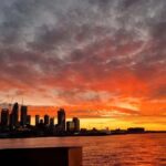 Auckland: Nightlights Harbour Cruise with Canapés and Drink - How the Experience Works