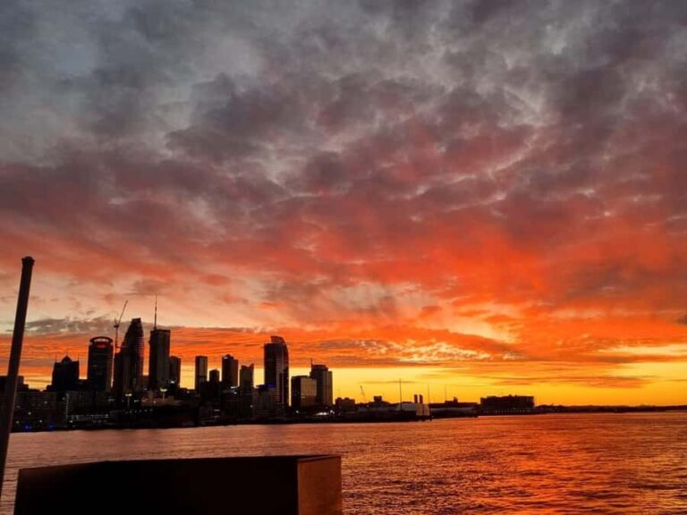 Auckland: Nightlights Harbour Cruise with Canapés and Drink - How the Experience Works