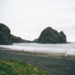 Auckland Private Tour: West Coast Wilderness & Piha Beach - Exploring Auckland’s West Coast: What You Can Expect