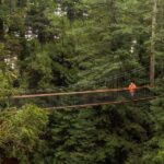 Auckland: Rotorua Highlights inc Te Puia Tour & Redwoods - The Experience: What Do Travelers Say?