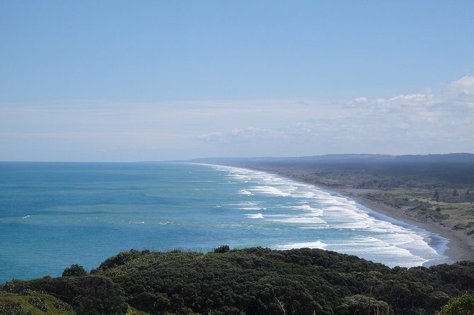 Auckland Scenic Day Tour Full-Day- 8 HOURS - Why Travelers Rave About This Tour